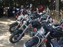 XVI Concentracion - 2009